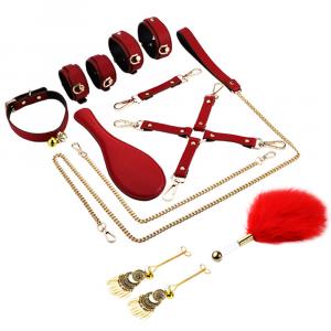 набор бдсм "искусство контроля"