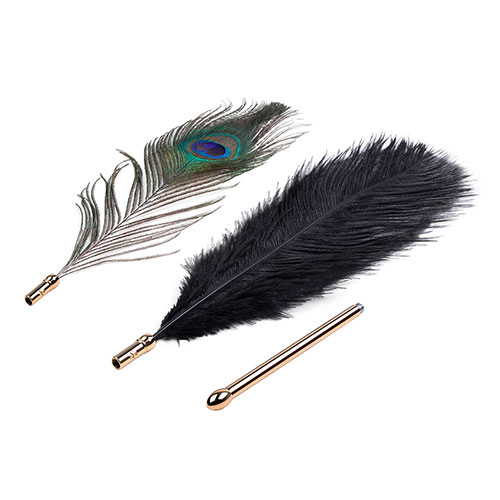 Набор перьев Peacock Flirting