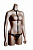 пояс для фаллоимитаторов с ошейником strap-on harness kit